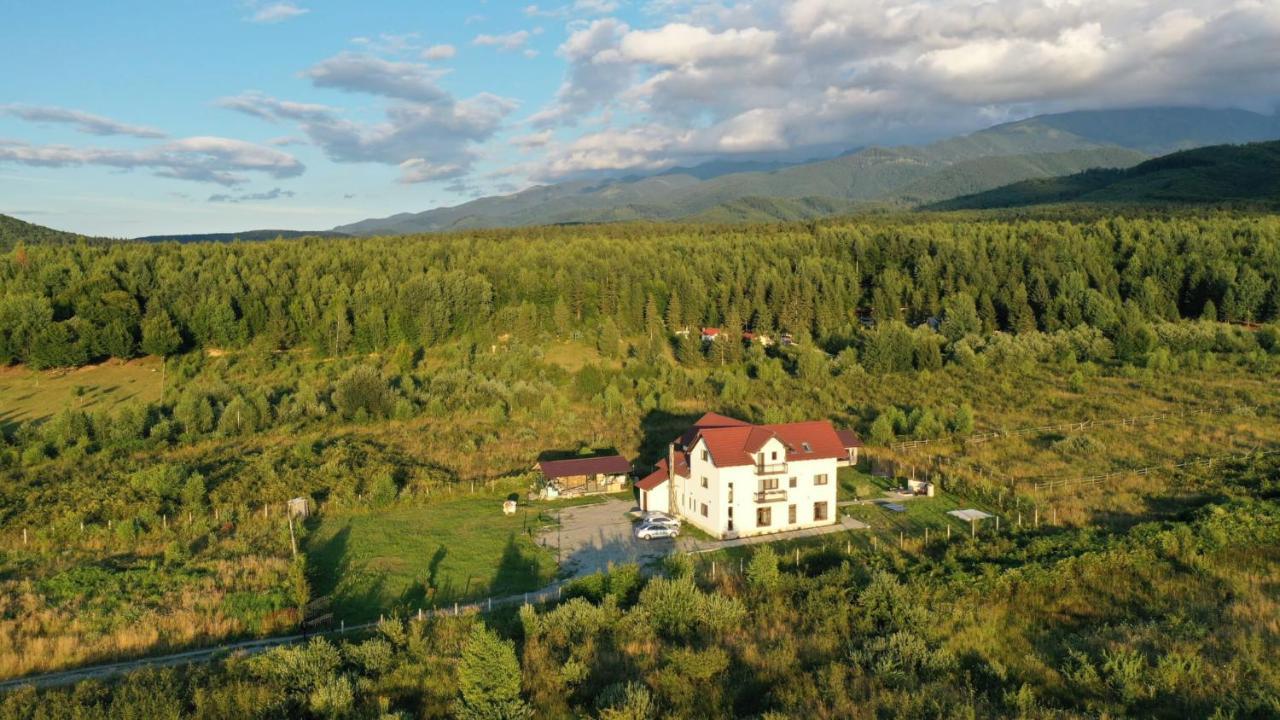 Pensiunea Ivoire Avrig Exterior foto